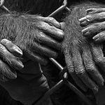 Profile Picture of Steve Booth (@*steve booth) on Flickr