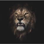 Profile Picture of Louis Harviley Jr (@lharviley) on Instagram