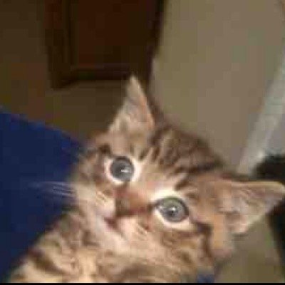 Profile Picture of Jayne Patterson (@stmargaretsbay) on Twitter