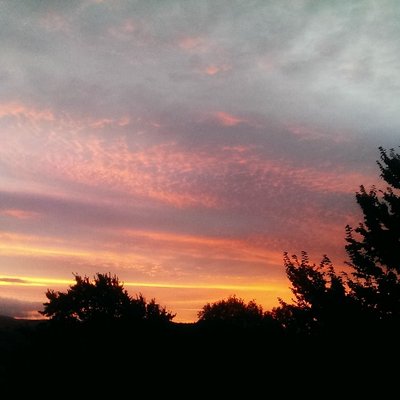 Profile Picture of Dave Reed (@dreednya) on Twitter
