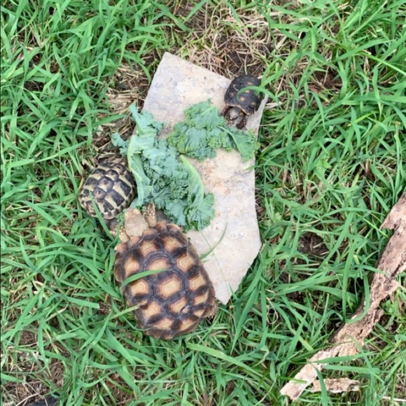 Profile Picture of Logan Lummus (@logan11510) on Poshmark