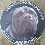 Profile Picture of Walter Luciano Ortega (@luciano_135_) on Instagram