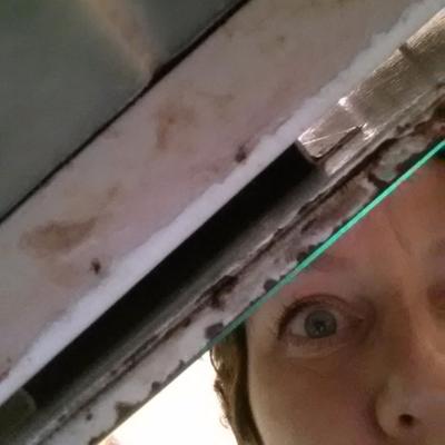 Profile Picture of Diana Stapleton (@myloveeatsfear) on Twitter
