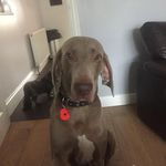 Robert Fishburn - Instagram Profile Picture of Robert Fishburn (@robertfishburn25) on Instagram