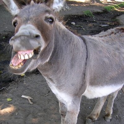 Profile Picture of Cal Metzger (@CalMetzger) on Twitter