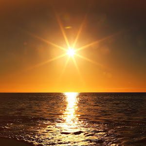 Profile Picture of Michael Efler (@michaelefler) on Tiktok