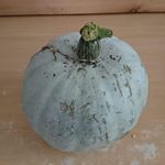 Profile Picture of Ian Owen (@ianowenthev) on Instagram