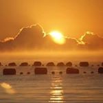 Profile Picture of Mark Kustwan (@golfzzzzzz) on Instagram