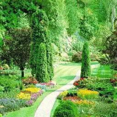 Zia Shah - Twitter Profile Picture of Zia Shah (@ziashah01) on Twitter