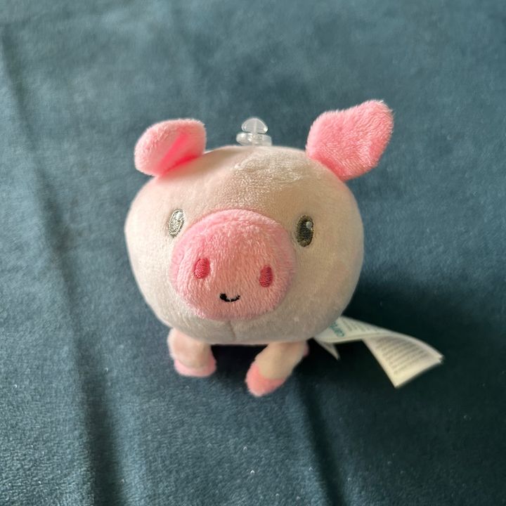 Profile Picture of annasuecook (@annasuecook) on Tiktok