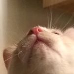 Profile Picture of Bryce Earl (@bryce.earl1) on Instagram