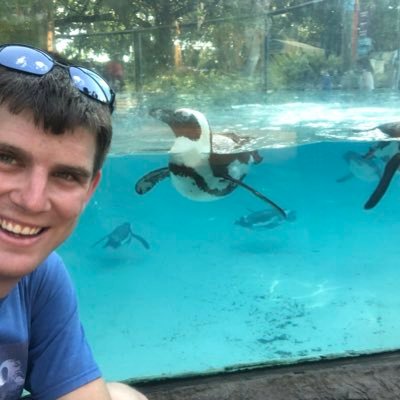 Profile Picture of FriezaPlanet419 (@KevinEisele4) on Twitter