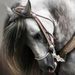 Profile Picture of Mell Andre (@mellandre) on Pinterest