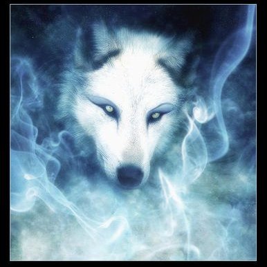 Profile Picture of Gina Fawell (@stubbert24) on Twitter