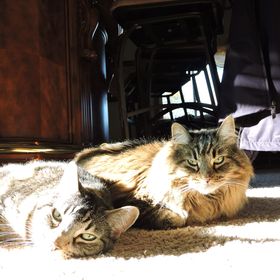 Profile Picture of Deb Kruse (@dmkrusito) on Pinterest