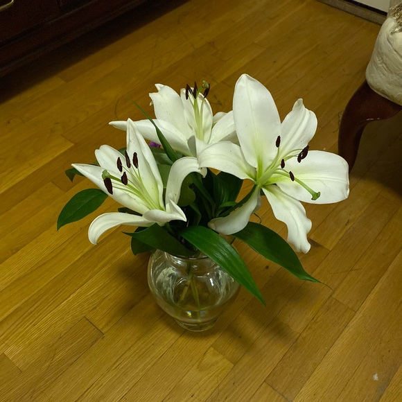 Profile Picture of Yeni Rodriguez (@yenisfer11) on Poshmark