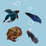 Profile Picture of chet, chad, bean and queen (@chetchadbeanqueen) on Instagram