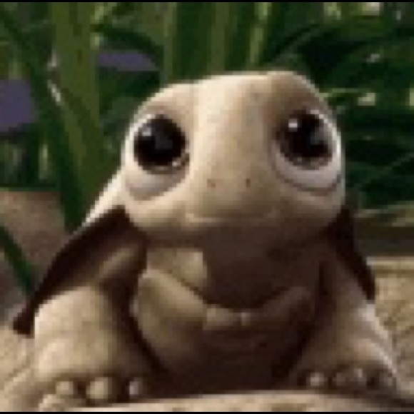 Profile Picture of Turtle Turtle (@turtle_forever) on Poshmark