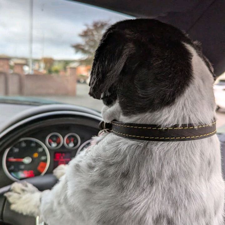 Profile Picture of Craigy G (@craigy.g1) on Tiktok