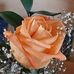 Profile Picture of Terry Colby (@terry.colby.104) on Facebook