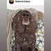 Profile Picture of Roberta Eskew (@roberta.eskew.35) on Facebook