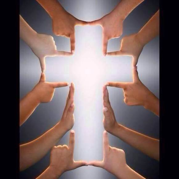 Profile Picture of Tina Ottolino (@tottolino) on Poshmark