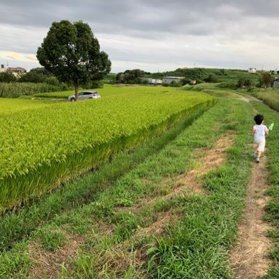 4人の男の子のお父さん - Twitter Profile Picture of 4人の男の子のお父さん (@persolRD) on Twitter