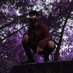 Profile Picture of Iván Carvajal (@_DixRyu_) on Twitter