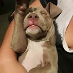 Profile Picture of Julio Menjivar (@menjivar_1.6) on Instagram