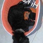 Profile Picture of Emely tavarez (@emely.2808) on Instagram