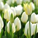 Profile Picture of Essam Saad (@essam.saad.5268) on Instagram