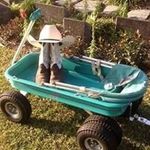 Scott Greenlee - Instagram Profile Picture of Scott Greenlee (@sgreen6381) on Instagram