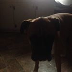 Profile Picture of Brodyandlucy (@brodygraham1963) on Instagram