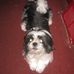 Profile Picture of Janet Matlock (@janet.matlock.92) on Facebook