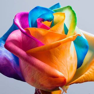 Profile Picture of Nicholas Cheshire (@nicholas.cheshire.1) on Facebook