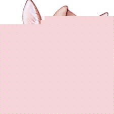 Profile Picture of Robert Magno (@181007734) on Myspace