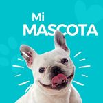 Profile Picture of Mi Mascota Oficial | Alimentacion canina y felina (@mi_mascota_oficial_) on Instagram