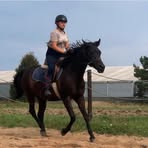 Profile Picture of Amelia Sapek (@Amelia-Sapek) on Facebook