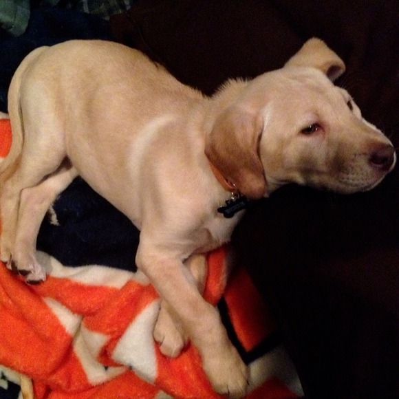 Profile Picture of Sydney Bergstresser (@s_berg) on Poshmark