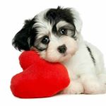 Profile Picture of Fernando Agudelo (@fernando.agudelo.940641) on Instagram