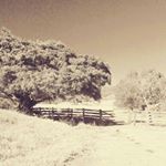 Profile Picture of Dóris Martins (@doris.martins.souza) on Instagram