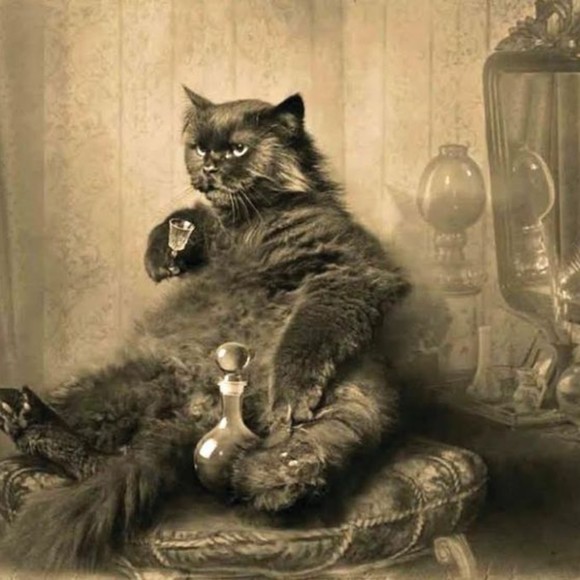 Profile Picture of Eric Paulson (@eragnarpaulson) on Poshmark