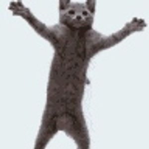 Profile Picture of Stephen Martin (@nat1000111) on Myspace