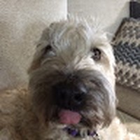 Profile Picture of Thomas Mcbryde (@thomas-mcbryde-5) on Quora