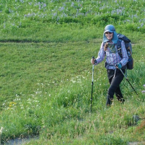 Profile Picture of Lori Erlichman (@lerlichman) on Poshmark