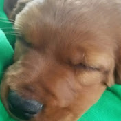 Profile Picture of Jack Fickies (@jackfickies4051) on Youtube