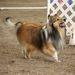 Profile Picture of Alice Michaels (@melowayfarm) on Pinterest