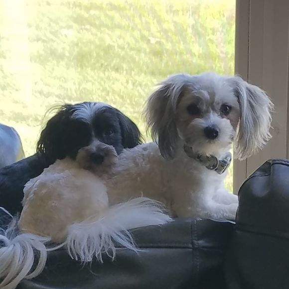 Profile Picture of Nicole Heinritz (@nycki18) on Poshmark