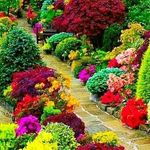 Profile Picture of Kendal Zınar (@hasanildenizz) on Instagram