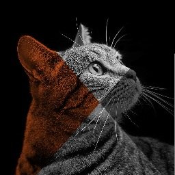 Profile Picture of Petie Barry (@peadar_de_barra) on Twitter